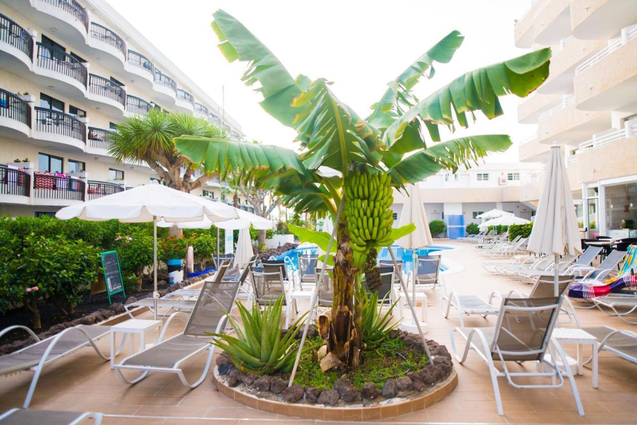 Adults Only Sunny Quiet Apartment In Center Of Las Americas Arona  Exterior foto